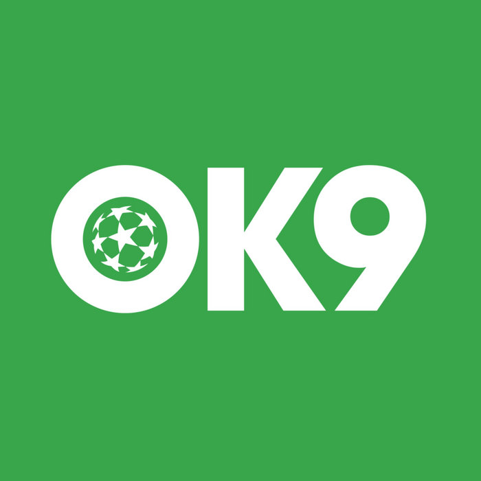 LOGO ok9aa